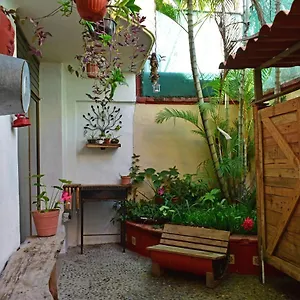  Bed & Breakfast My Local Vallarta